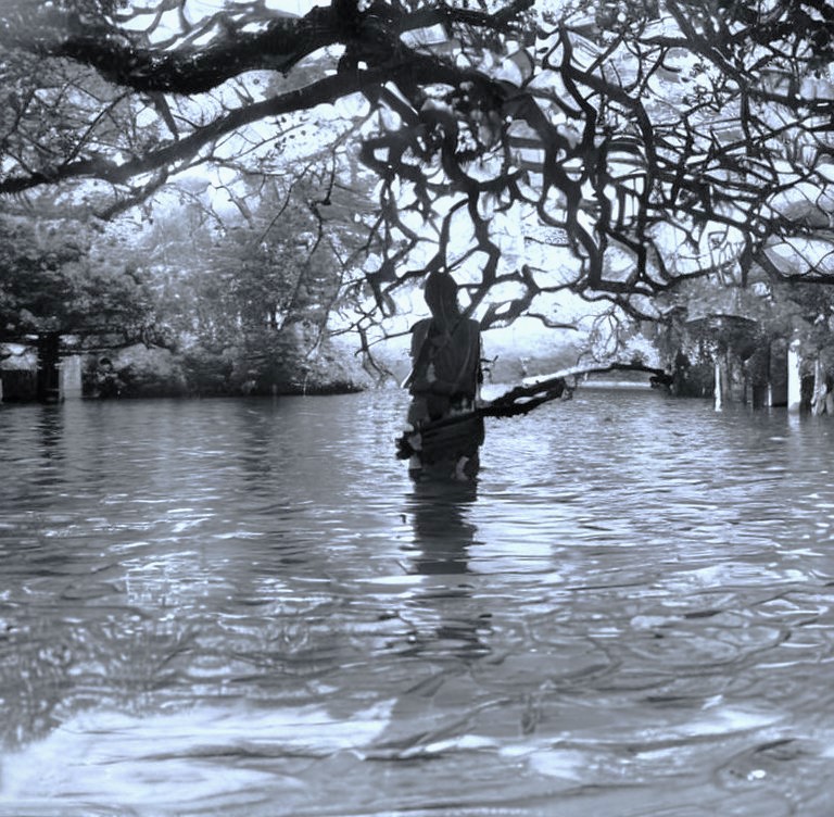 Dreams of Australia (part&nbsp;II)